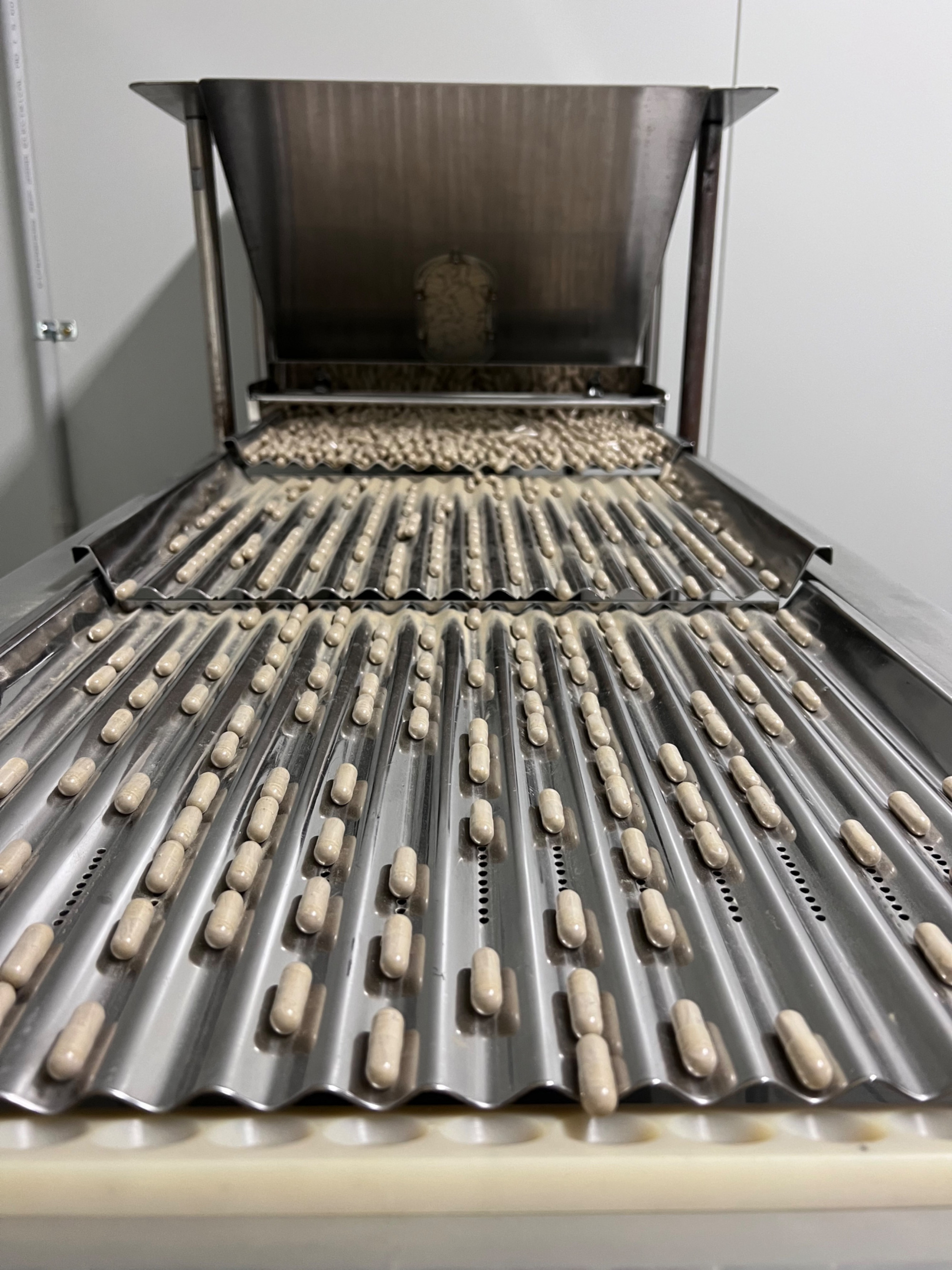 Pharmaceutical capsule handling and counting equipment – T.K.O Engineering team experience